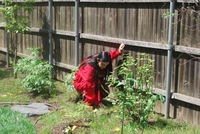 Photo from the Lenape ceremony to bless the garden at Greenfield Intercultural Center