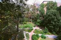 An aerial view of the park.