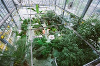 An aerial view of the bioponds large greenhouse