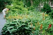 James G. Kaskey Park (BioPond)