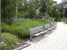 Edward W. Kane Park