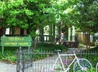 Class of 1942 Garden