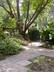 Shakespeare Garden
