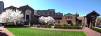 Warden Garden